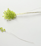 (FS21G green) 10 Stems Handmade Crystal Bead Leaf Sprays with Gold Stems