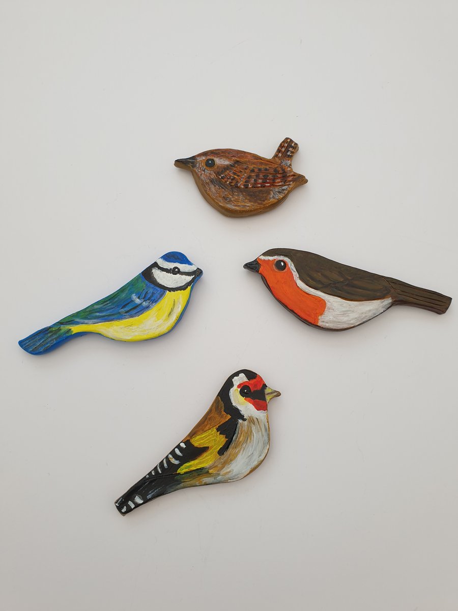  Garden bird hand painted fridge magnets