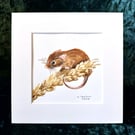 Mouse - Original Watercolour Painting