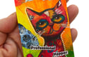 CAT-TITUDE aceos