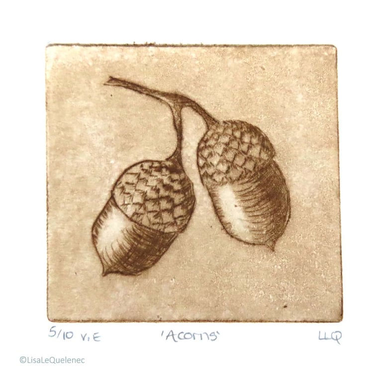 Acorn drypoint no.5 of 10 forest floor shades of autumn small scale print