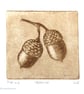Acorn drypoint no.5 of 10 forest floor shades of autumn small scale print - Image 1