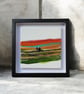 Northumberland hills - Summer days  - Image 4