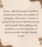 12 Bluebell, Jasmine & Rose Wax Melts - Luxury Floral Fragrance - Gift Box - Image 4