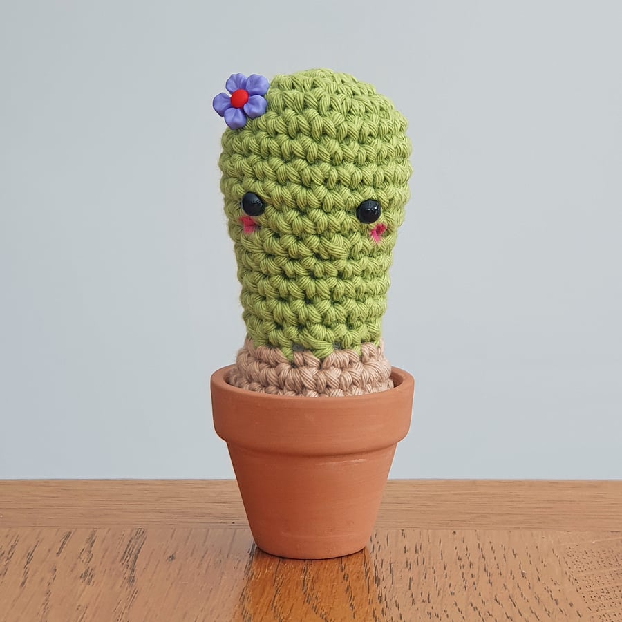 Vera the Crochet Cactus