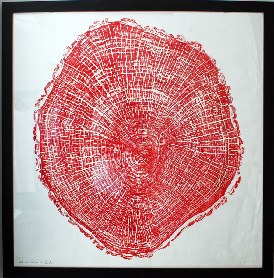 Big Ash Tree Ring RED Art print original woodgrain 