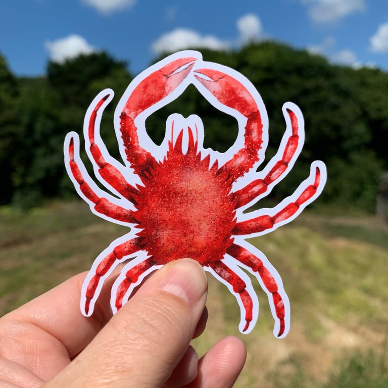 Cornish King Crab Sticker - Cornwall Gifts