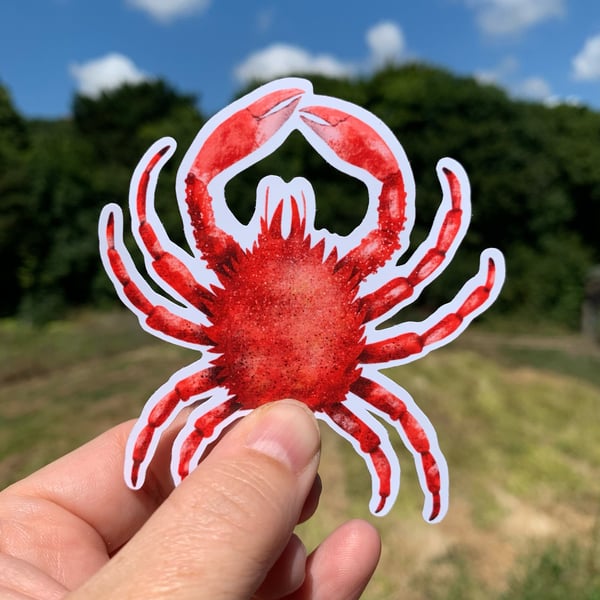 Cornish King Crab Sticker - Cornwall Gifts