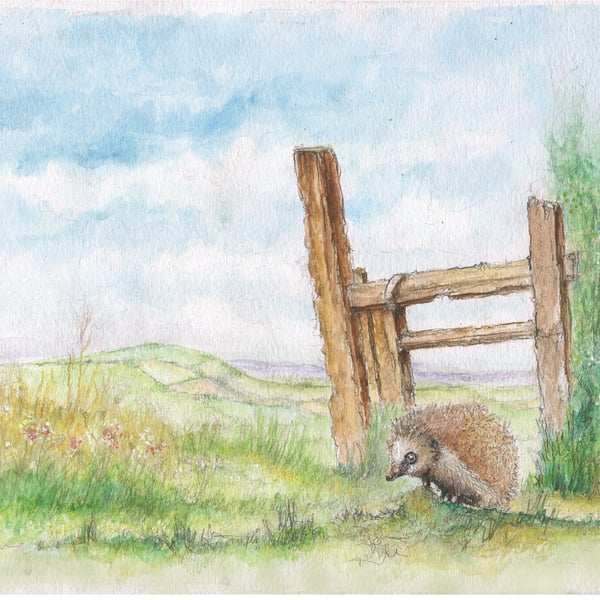 Watercolour print of a Southdowns Sussex Hedgehog