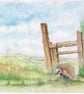 Watercolour print of a Southdowns Sussex Hedgehog - Image 1