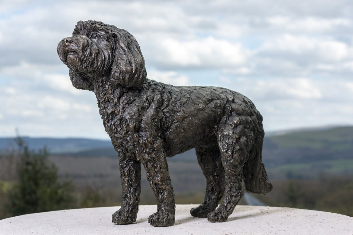 Standing Cockapoo Dog Statue Large Bronze Resin Sculpture 