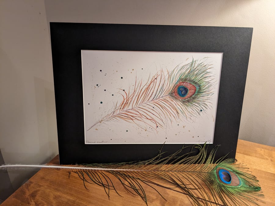 Peacock Feather, An A4 or A3 mounted signed print of an original painting