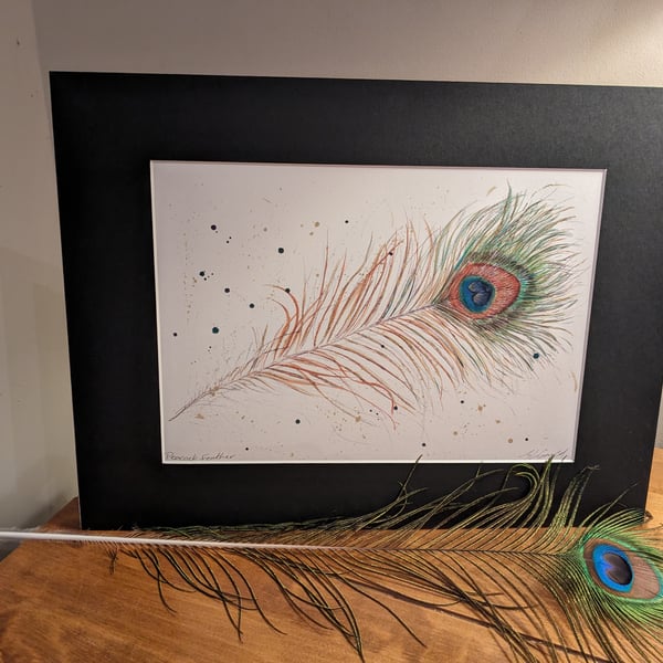 Peacock Feather, An A4 or A3 mounted signed print of an original painting