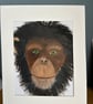 Thoughtful chimpanzee portrait in acrylics.Original painting  - Image 6