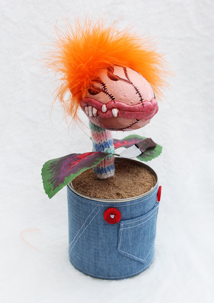 Chucky Plant