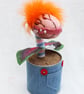 Chucky Plant