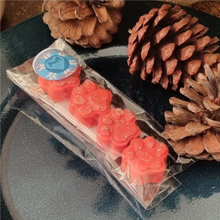 Christmas Fragrance Soy Wax Melt Paws 4 Pack Cranberry and Orange Stocking Gift