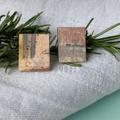 Liz Edwards Art Studio