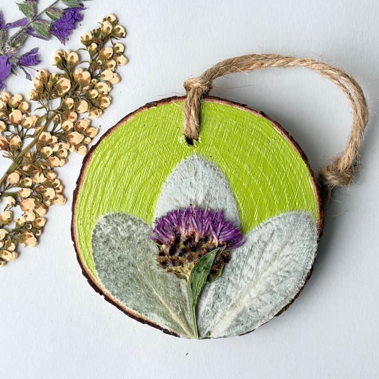 Real Pressed Flower, Knapweed, Hand Painted Wood Slice Hanging Decoration