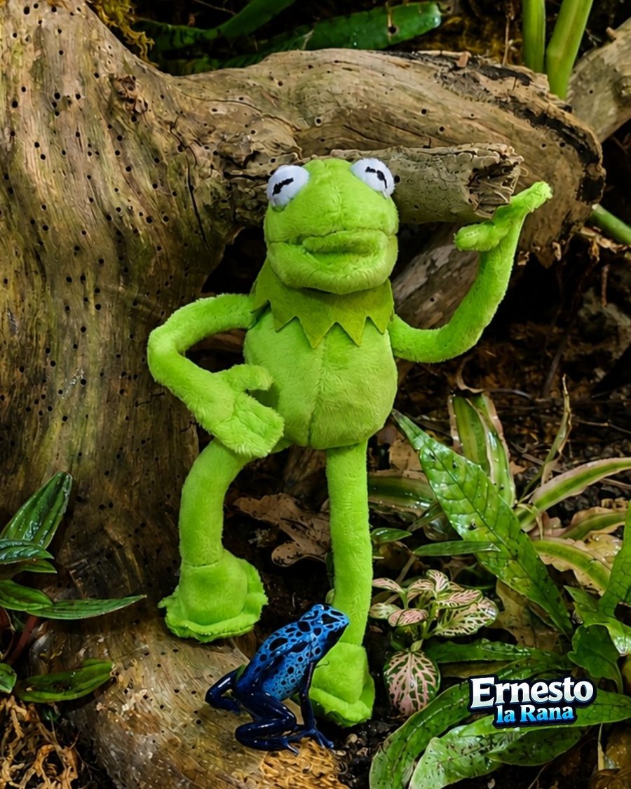 Ernesto La Rana