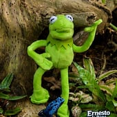 Ernesto La Rana