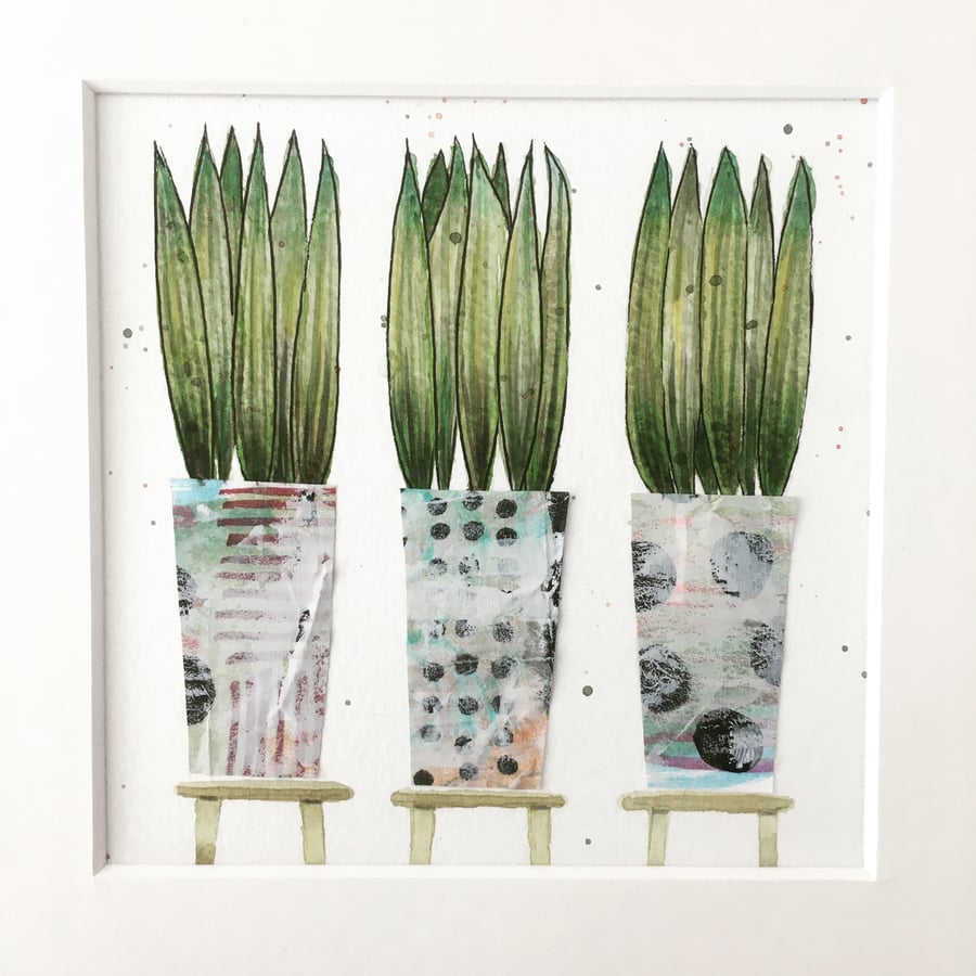 Original watercolour and collage houseplant trio mounted 