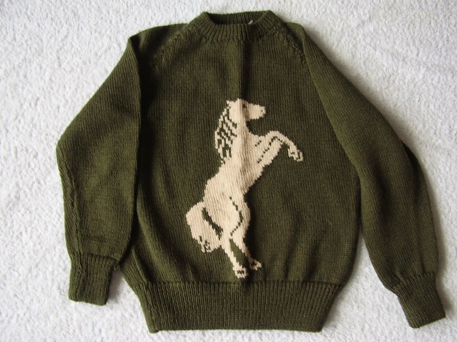 Child's jumper with a rearing horse on the front.