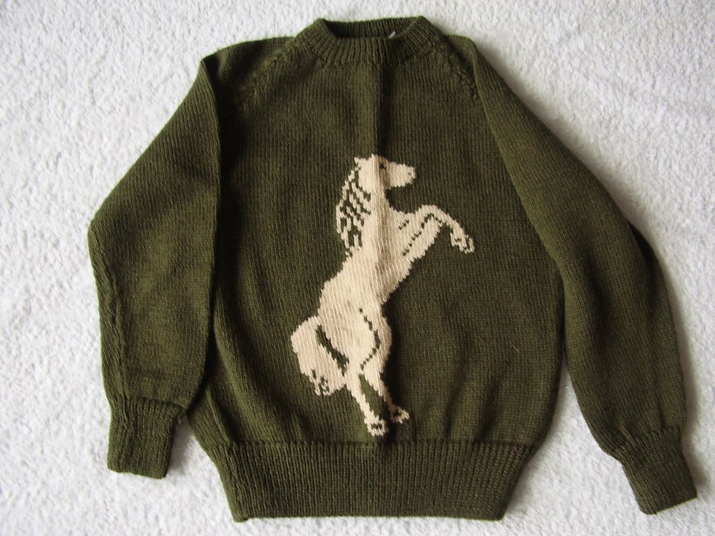 Horse jumper with a rearing horse motif for a child. Machine washable wool