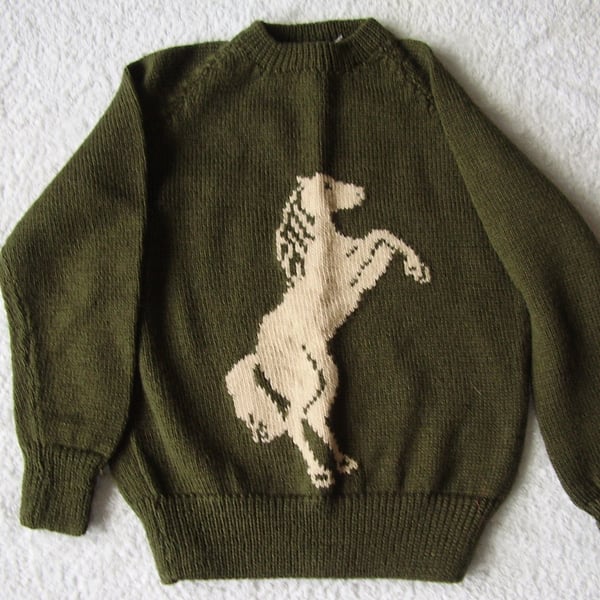 Child's jumper with a rearing horse on the front.