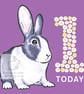 Blue the Rabbit - 1 Today Card - Image 1