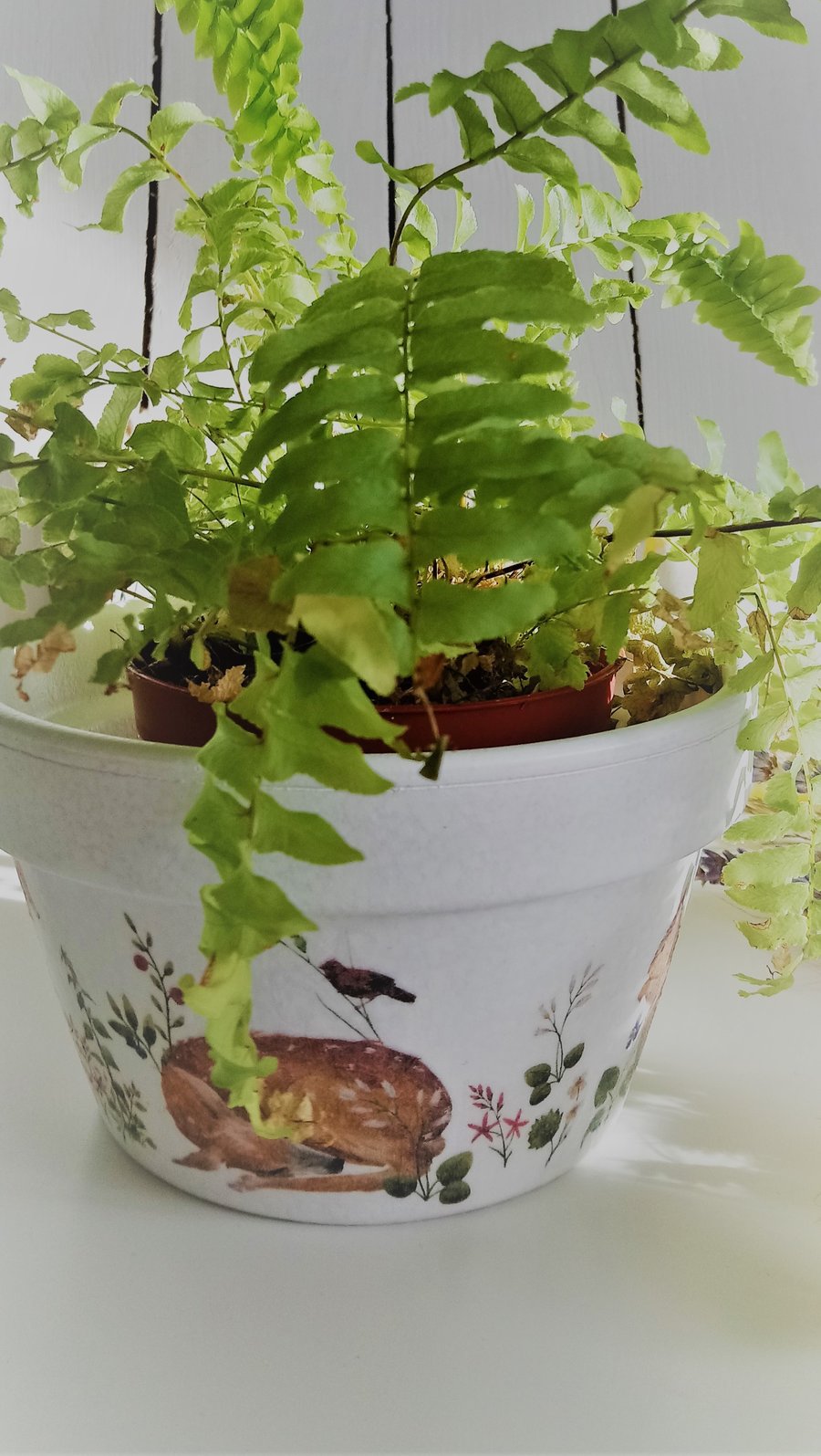 Decoupaged British Wildlife Design Indoor Terracotta Pot