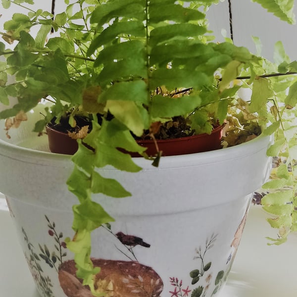 Decoupaged British Wildlife Design Indoor Terracotta Pot