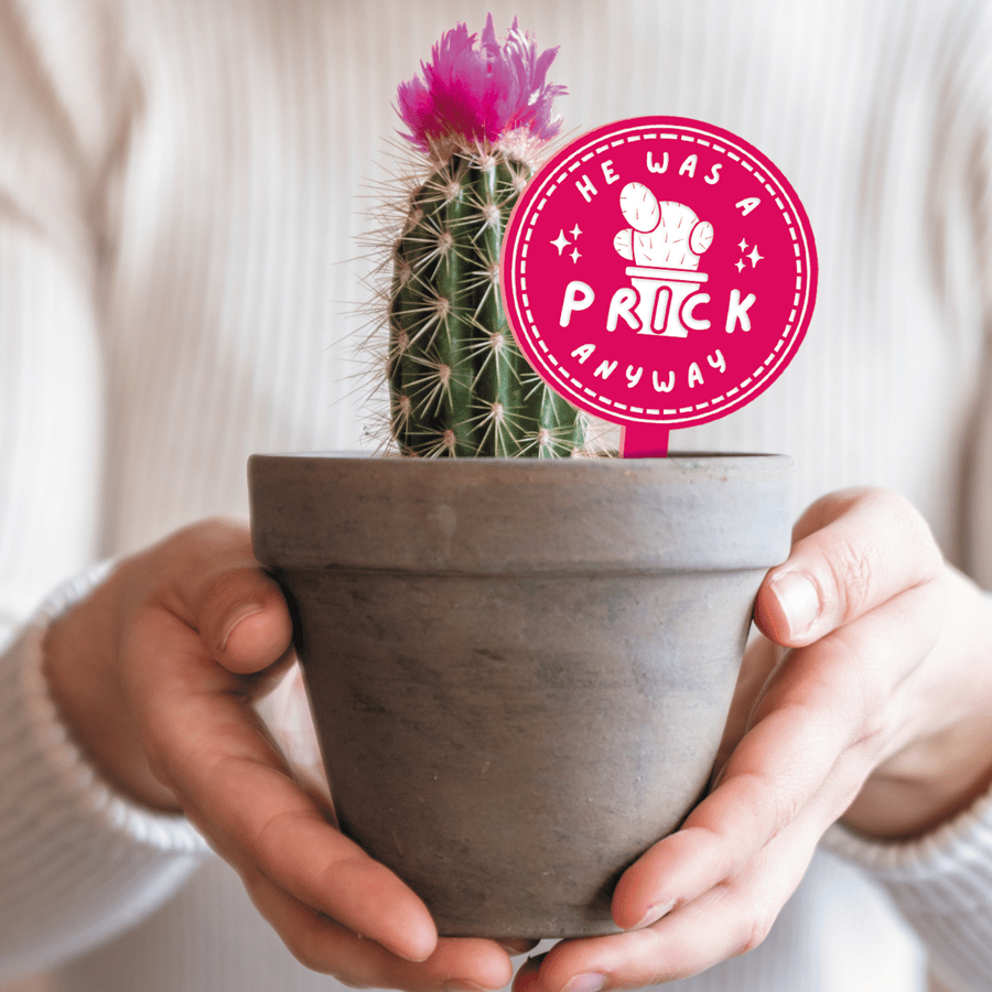 Prick Anyway - Potted Cactus Plant Tag: Small Funny Breakup Divorce Gift 