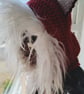 Fox Hood - Image 7