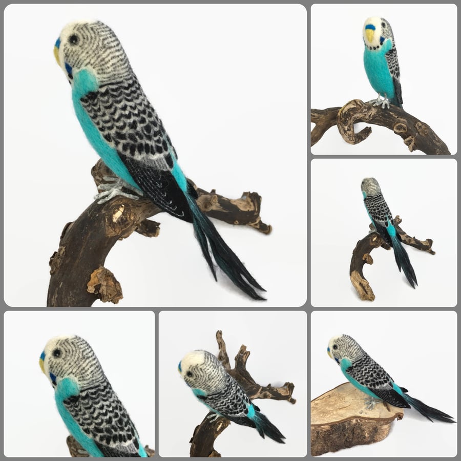 Blue and white needle felted budgie, parakeet