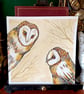 Loving Owls