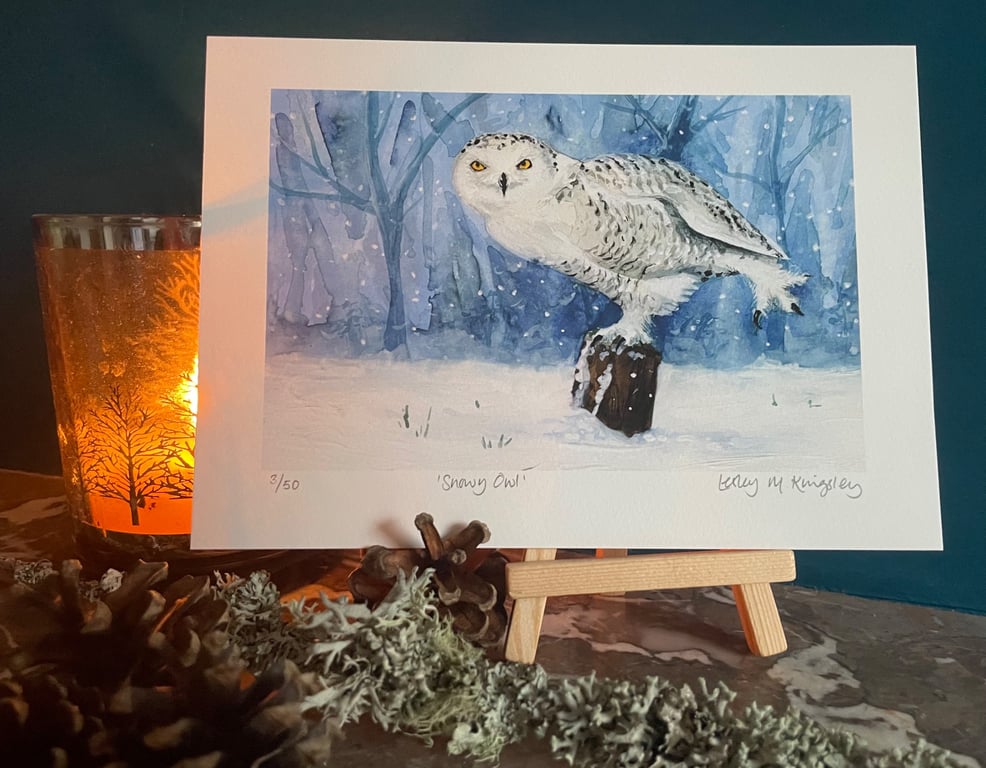'Snowy Owl' limited edition giclée print