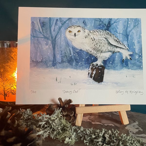 'Snowy Owl' limited edition giclée print