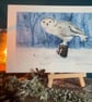 'Snowy Owl' limited edition giclée print
