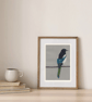 Magpie Art Print - 5x7 inches