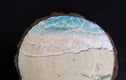 Woodslice coaster