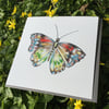 Beautiful Red admiral Butterfly Greeting Card 