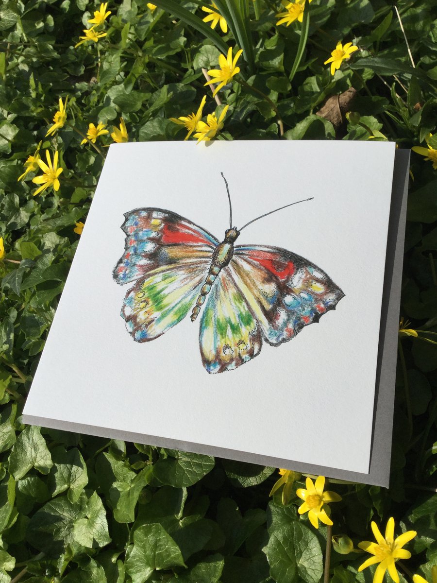 Beautiful Red admiral Butterfly Greeting Card 
