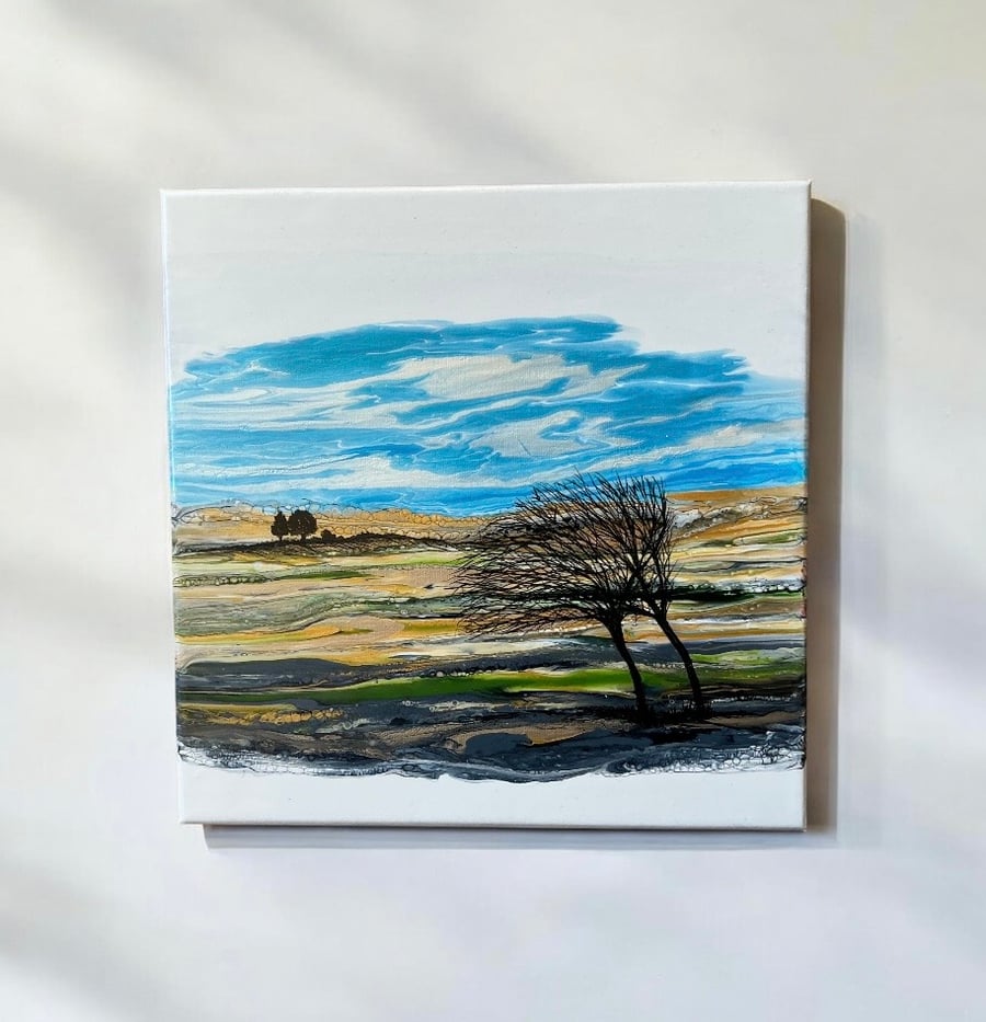 Northumberland hills - Blustry Spring day 