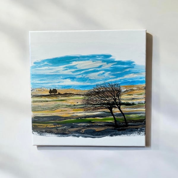 Northumberland hills - Blustry Spring day 