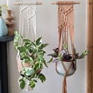 Macrame Plant hanger on a wooden dowel 