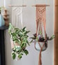 Macrame Plant hanger on a wooden dowel 