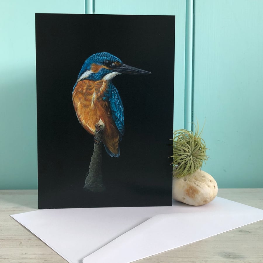 'Kingfisher Perching', A5, Bird Art greetings card.