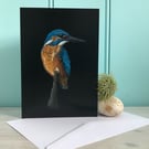 'Kingfisher Perching', A5, Bird Art greetings card.