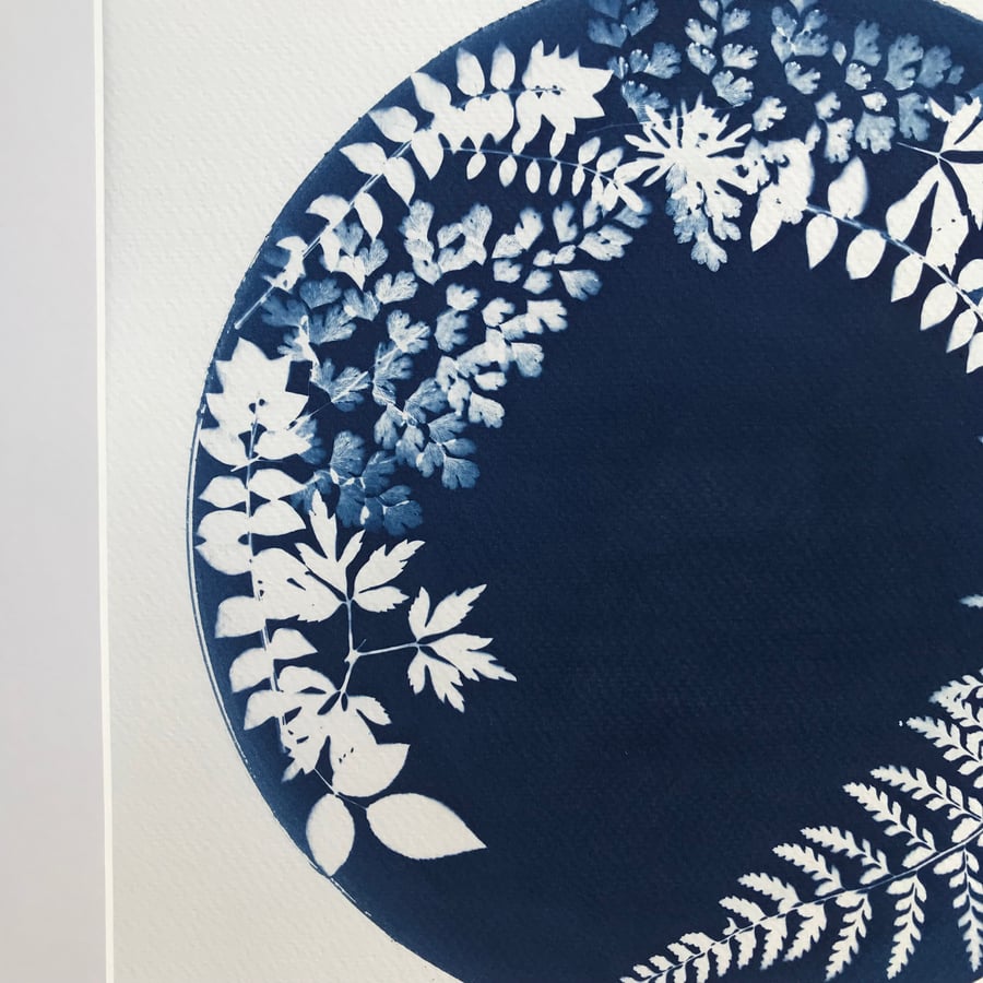 Original Botanical Cyanotype- Around the Blue - Folksy